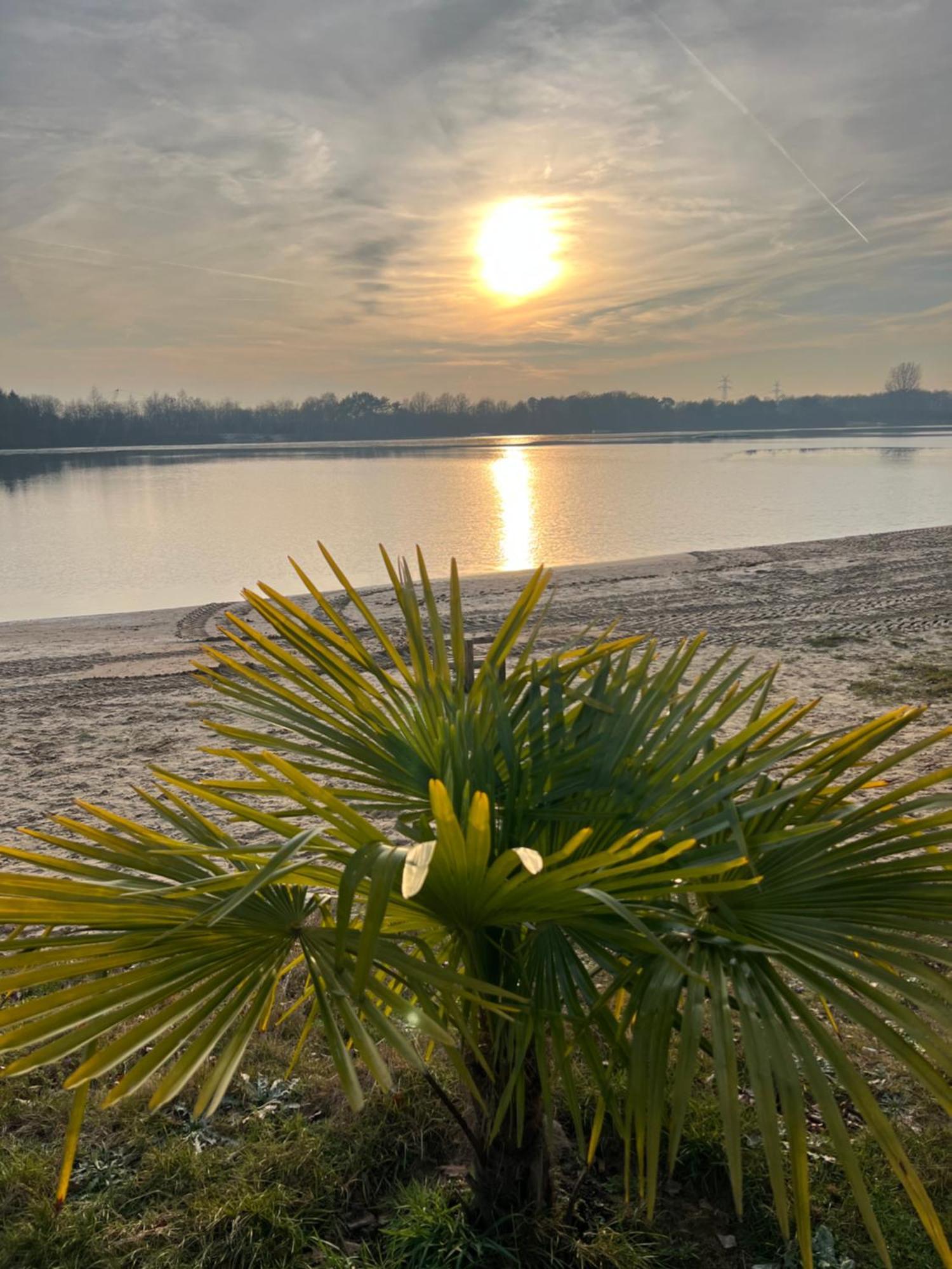 Haus Schoensee Heede ภายนอก รูปภาพ